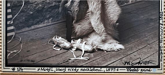 Jan Saudek | Motýl, který nikdy nevzlétnul | MutualArt