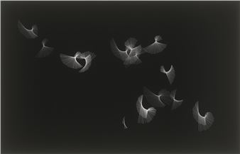 Black on White - Frieder Nake