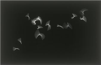 Black on White - Frieder Nake