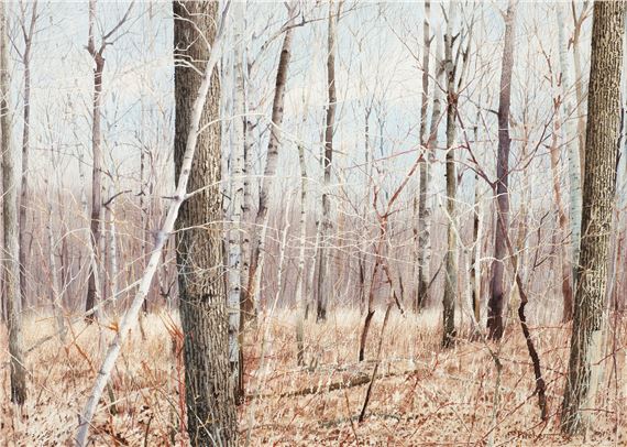 Charles Pitcher 1996 watercolor Early Winter Woods