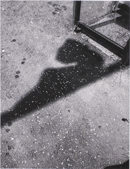 Flegs No.6 - Philip Arneill