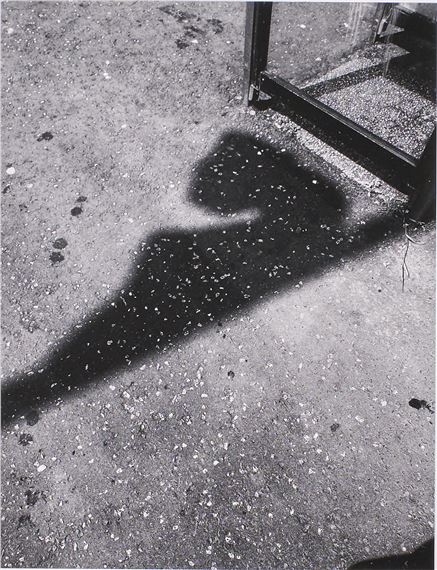 Flegs No.6 by Philip Arneill