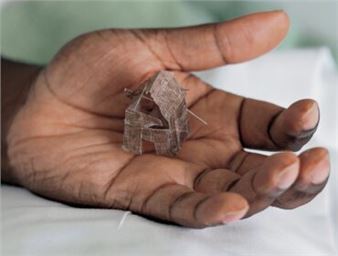 Donald Rodney: Visceral Canker - Whitechapel Art Gallery