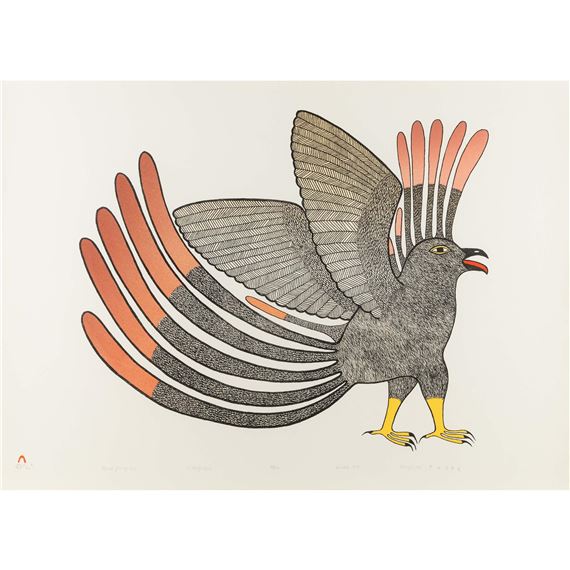 PROUD YOUNG OWL by Kenojuak Ashevak, 1979