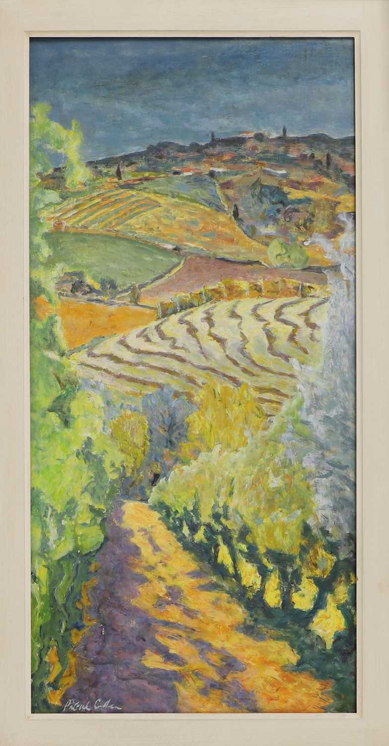 Artwork by Patrick Cullen, Burnt Field, Siena, Made of oil on canvas laid on board