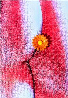 Sgn. Spinelli: non si vergogna di uscire così per strada - Francisco Spinelli