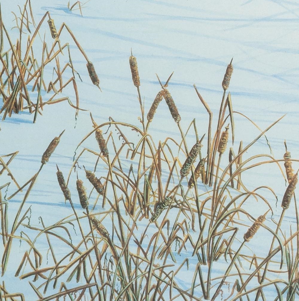 Henry Ripplinger | Cattails (1986) | MutualArt
