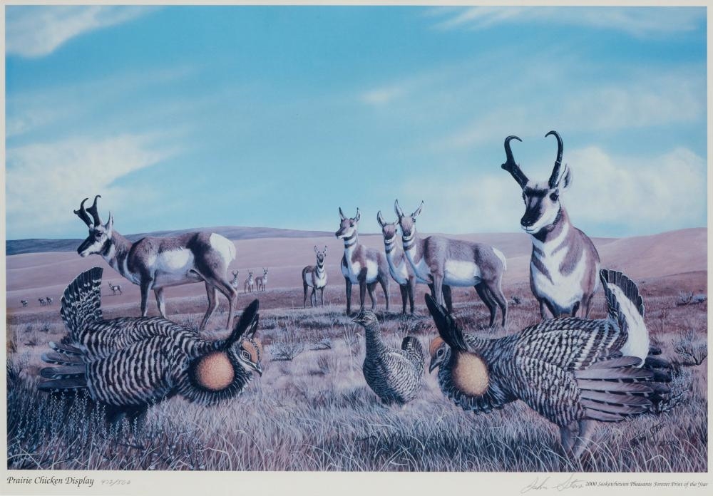 John Stone | Prairie Chicken Display (2000) | MutualArt
