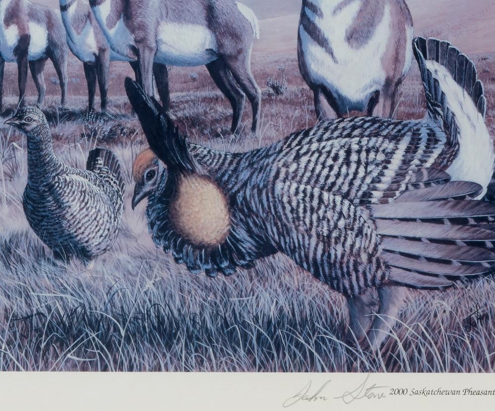 John Stone | Prairie Chicken Display (2000) | MutualArt