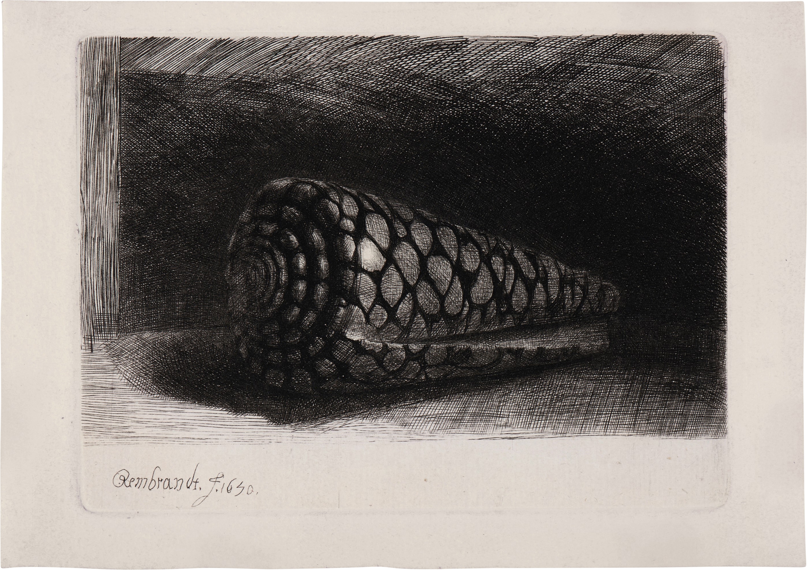 Rembrandt van Rijn | The Shell (1650) | MutualArt