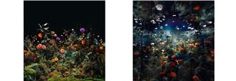 Mary Mattingly: Night Gardens - Robert Mann Gallery