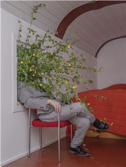 My Brain Took an Extended Vacation: Ben Zank Playfully Twists the Banal