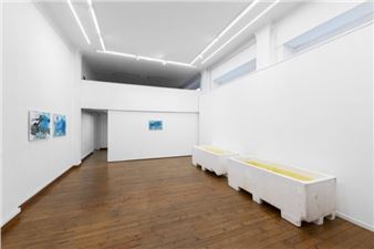 Roger Hiorns: To Weaken, Studies and Practices of Power Flows