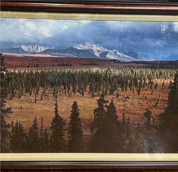 Thomas Mangelsen Western photograph Season Passing by Thomas Mangelsen