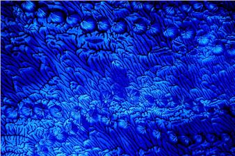 Katharine Torgersen: Infinite Blue: With Grief + Gratitude - Rochester Contemporary Art Center