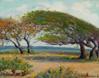 Windswept Oaks in Spring Rockport, Texas - Clara Pancoast