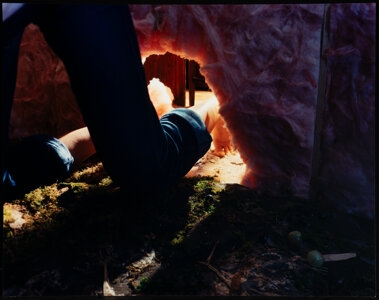 Artwork by Deborah Mesa-Pelly, Huckleberry, Made of Dye coupler print