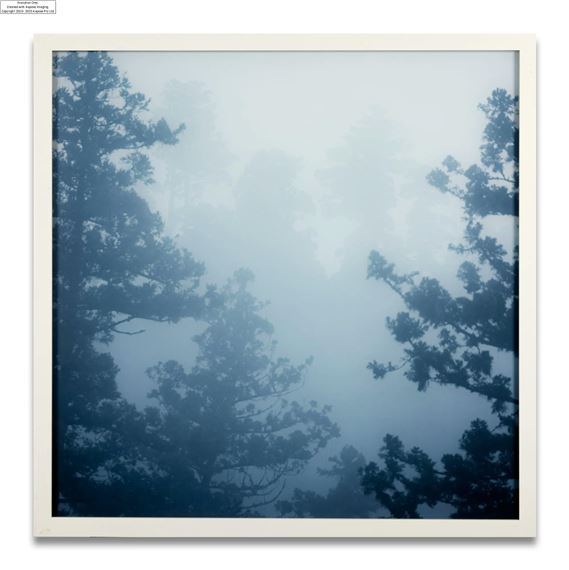 The Civil Drawings Darren Almond写真集 Darren Almond 写真集 The