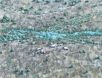 “LԻ” - Leon Pericles