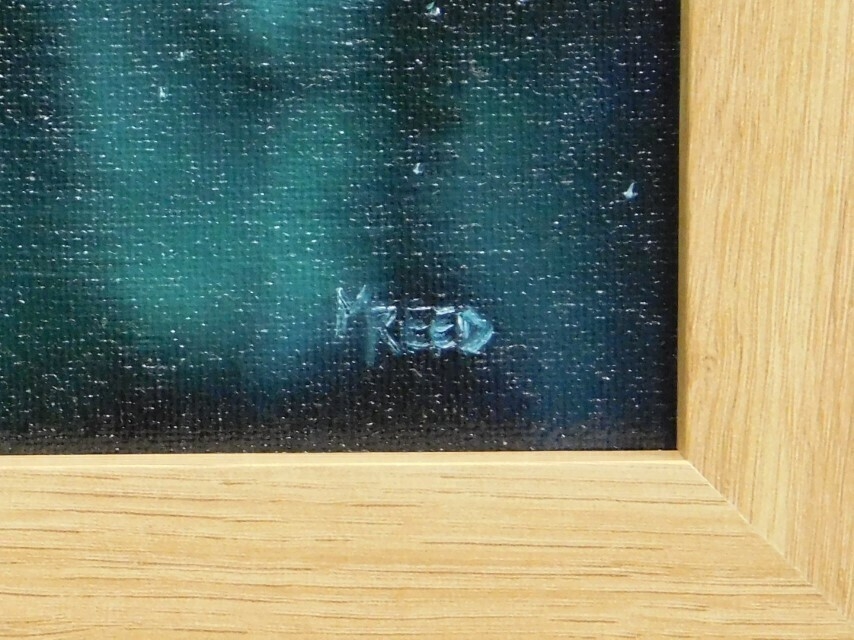 Mark Reed | Northern Lights (2023) | MutualArt