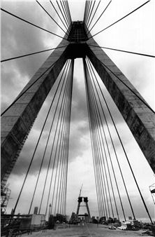 Dallas Kilponen - Dallas Kilponen