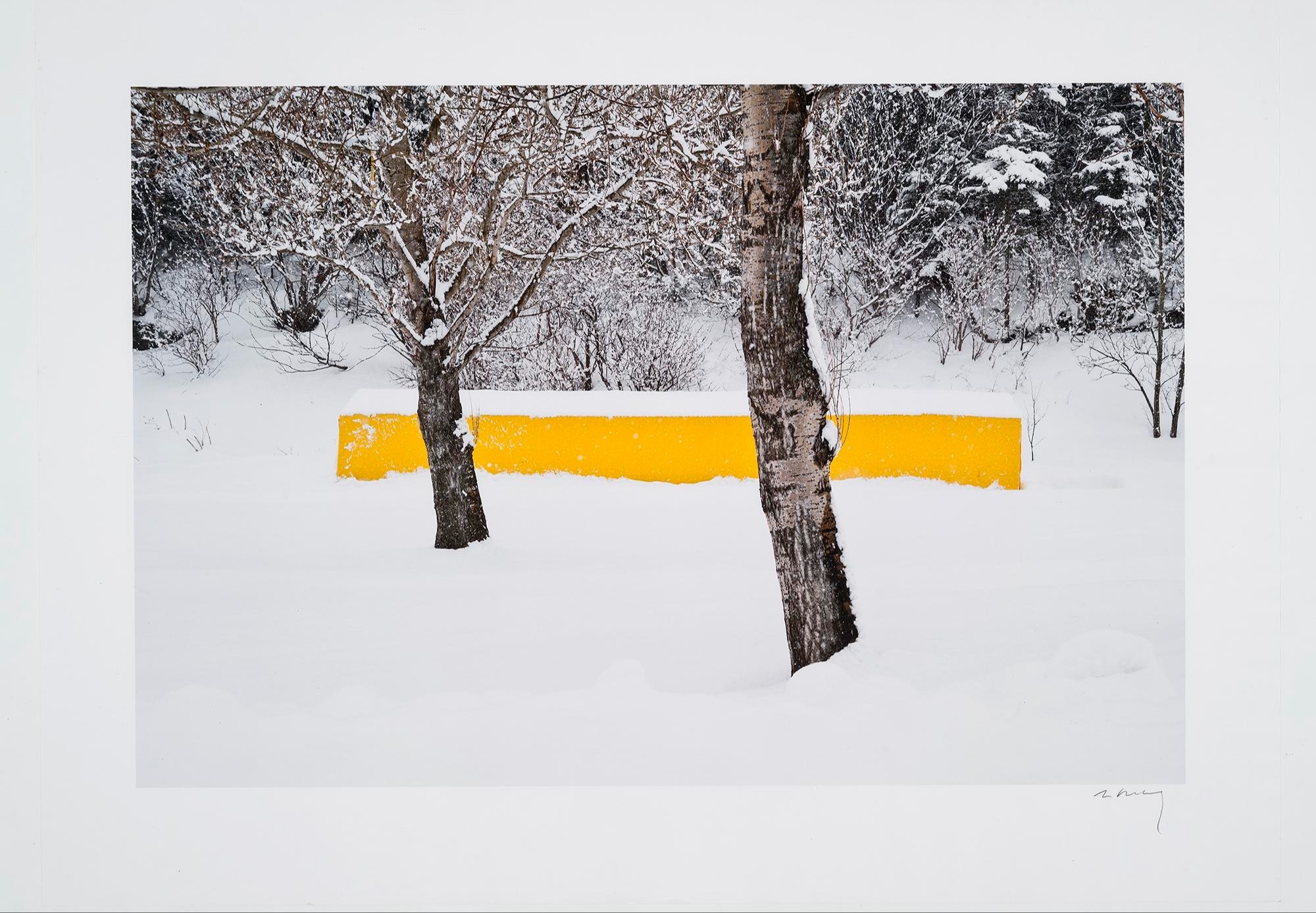Linda Rutenberg | Un dalot de bois (2014) | MutualArt