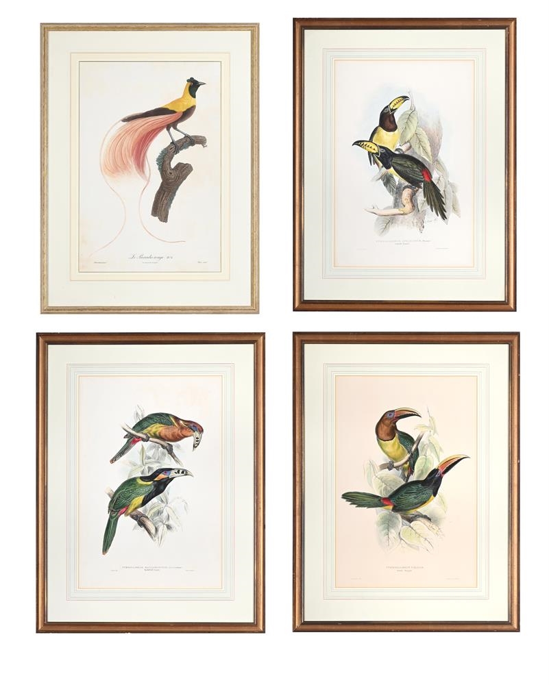 Edward Lear | THREE COLOURED LITHOGRAPHS OF PARROTS | MutualArt