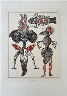 Jan Švankmajer | Untitled (Frog) (1973) | MutualArt