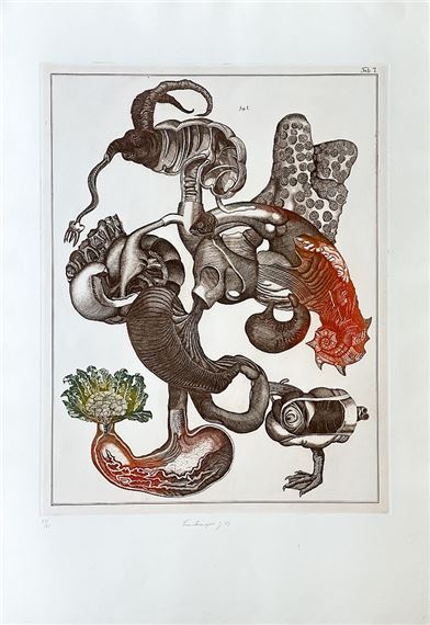 Jan Švankmajer | Untitled (Frog) (1973) | MutualArt