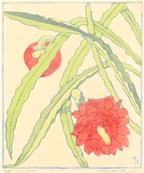Cactus #21/50 - Alison Houston Lockerbie Newton