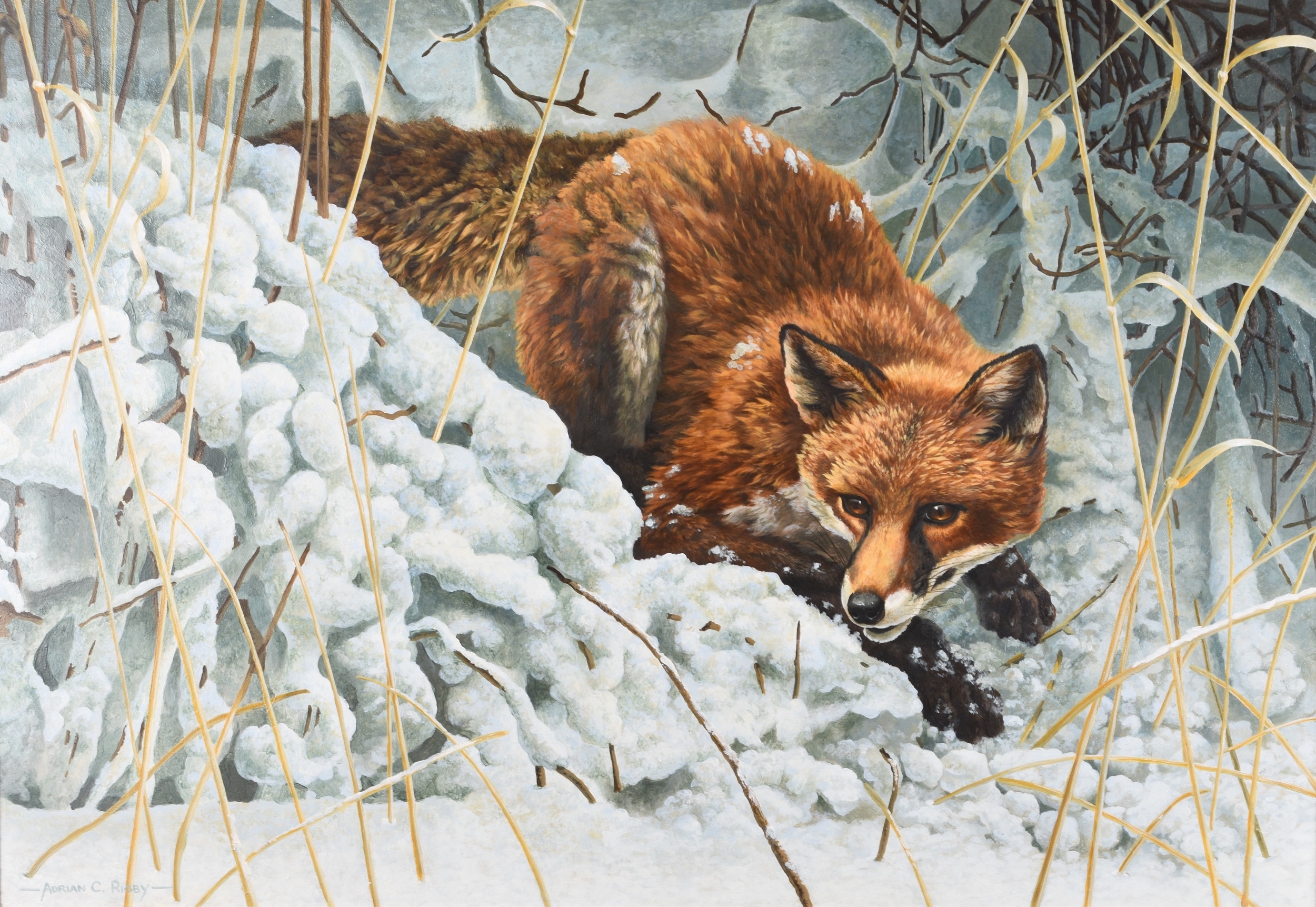 Adrian Rigby | Adrian Rigby (b.1962) Fox in the Snow | MutualArt