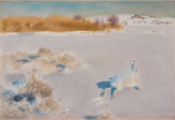 Bounding Winter Hare