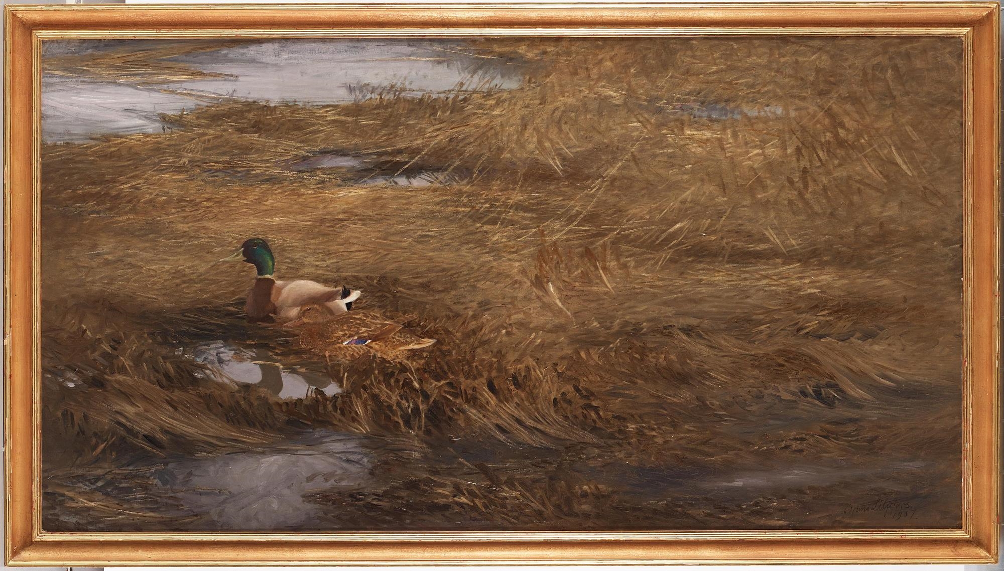 Artwork by Bruno Liljefors, Mallards in the reeds, Made of Oil on canvas