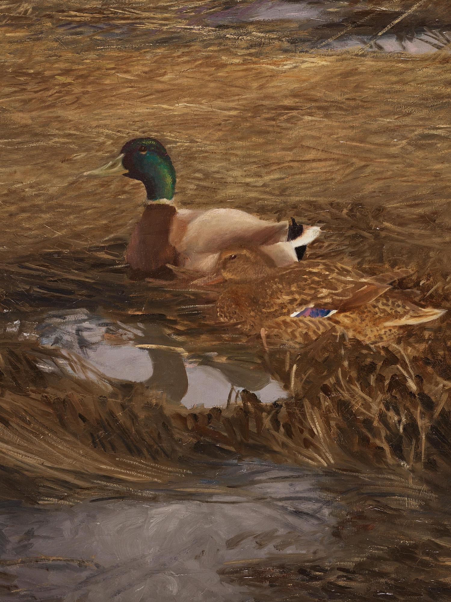 Artwork by Bruno Liljefors, Mallards in the reeds, Made of Oil on canvas