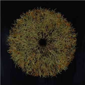 Mayme Kratz: Sleeping in the Forest - Lisa Sette Gallery