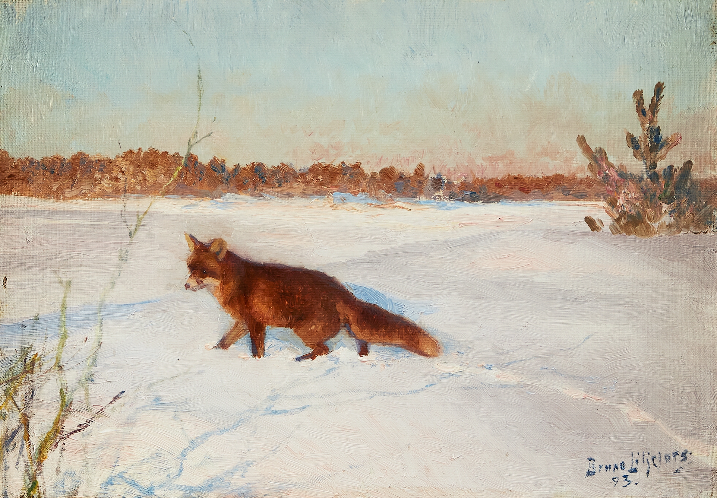 Artwork by Bruno Liljefors, Räv i snötäckt vinterlandskap. Signerad och daterad Bruno Liljefors 93, Made of oil on canvas