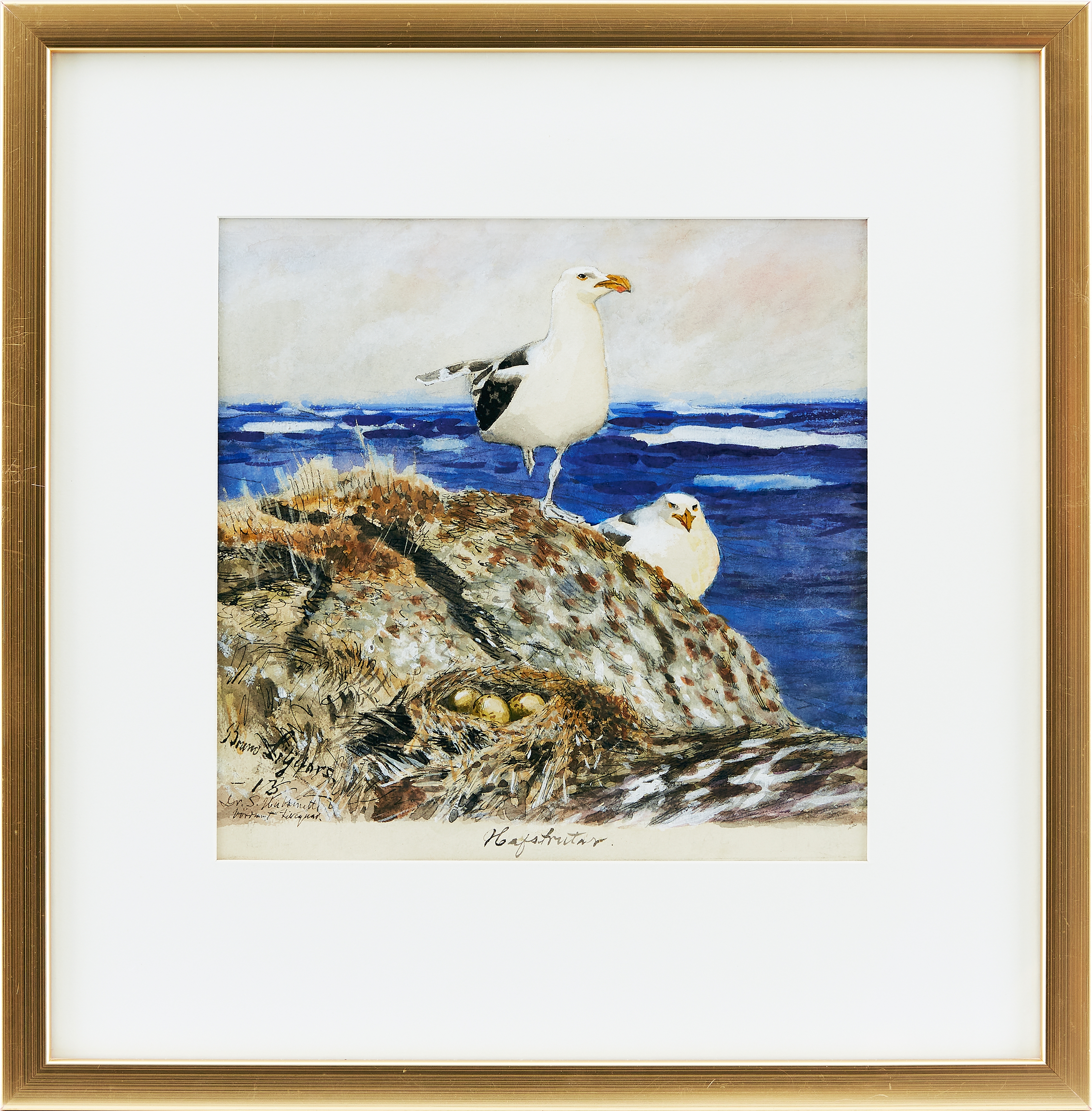 Artwork by Bruno Liljefors, ”Hafstrutar”. Signerad och daterad Bruno Liljefors -13, Made of watercolor