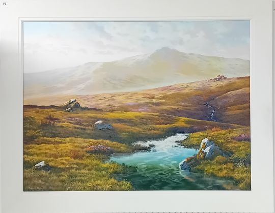 'Dartmoor' by Brian D. Horswell