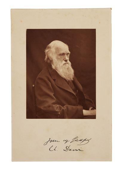 A group of five photographs, -1878 by Ernest Edwards, Lock & Whitfield, Leonard Darwin, printed circa 1863