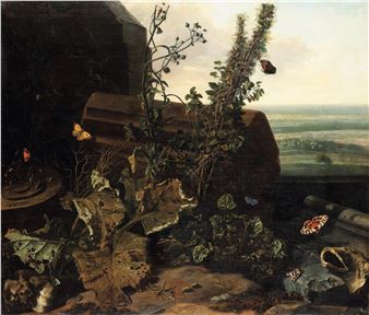 Sottobosco con insetti - Otto Marseus van Schrieck