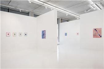 Catharina Dhaen: Metamorphosis - Sofie Van de Velde