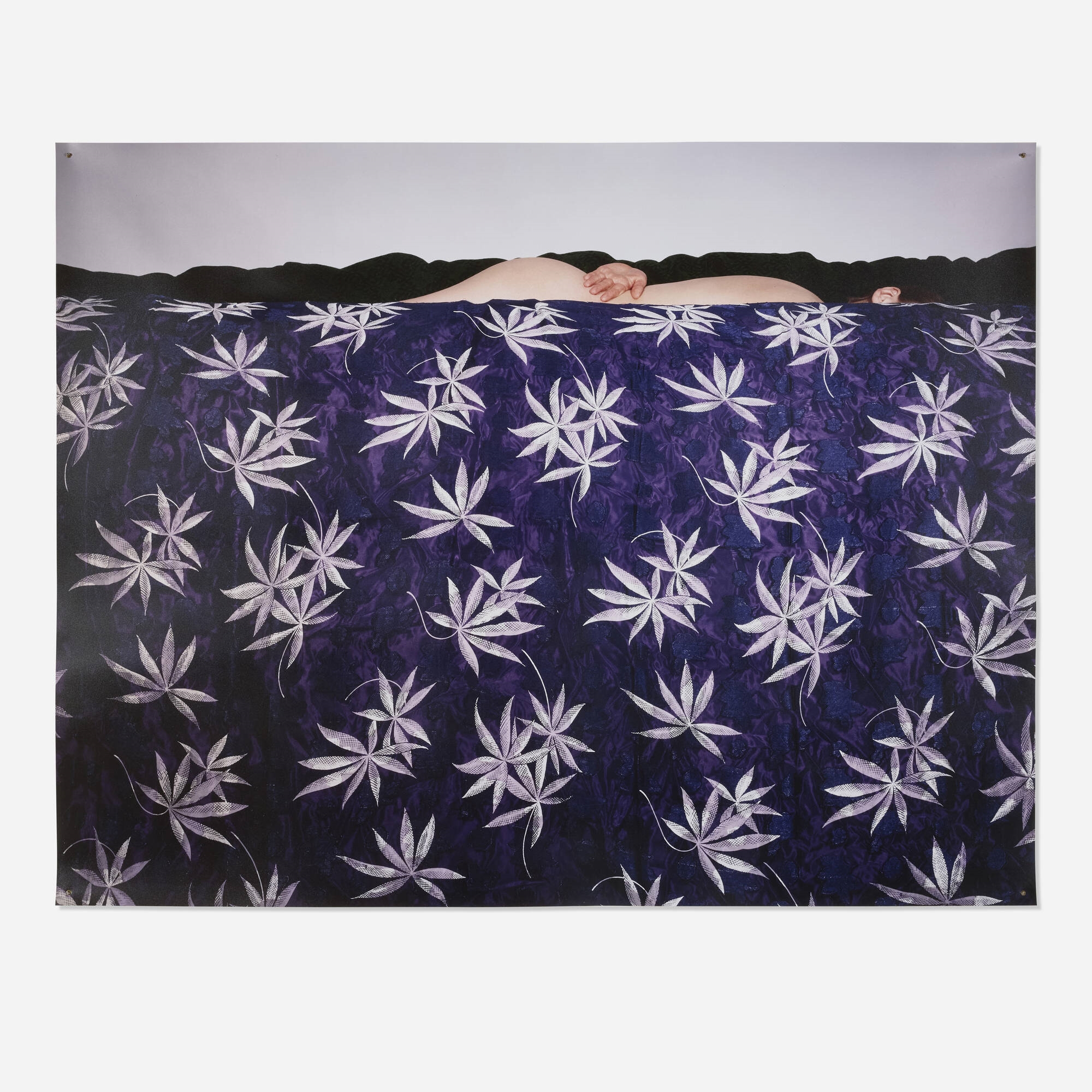 Artwork by Boyd Webb, Deluge, Made of c-print