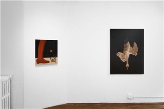 Meghann Stephenson: Swan Dive - Half Gallery, New York