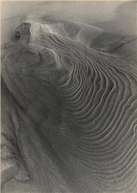 Museum Ludwig Exhibits Newly Acquired Photographs by Alfred Ehrhardt in Dialogue with Photographs by Elfriede Stegemeyer
