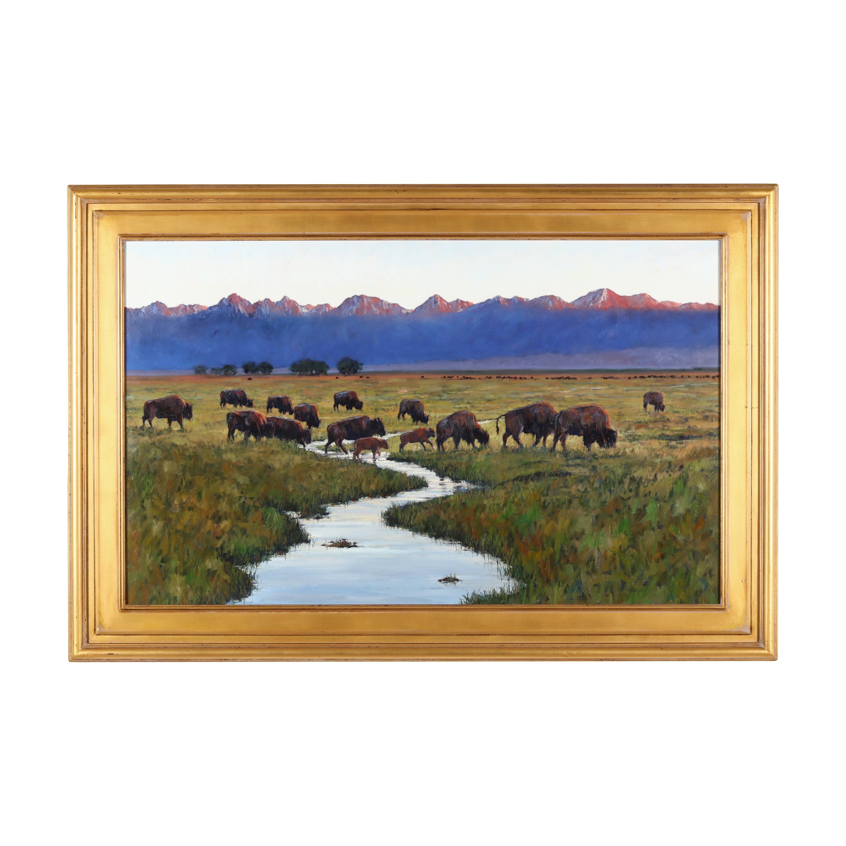 Artwork by Nathan Solano, Where the Buffalo Roam, Made of Oil on panel