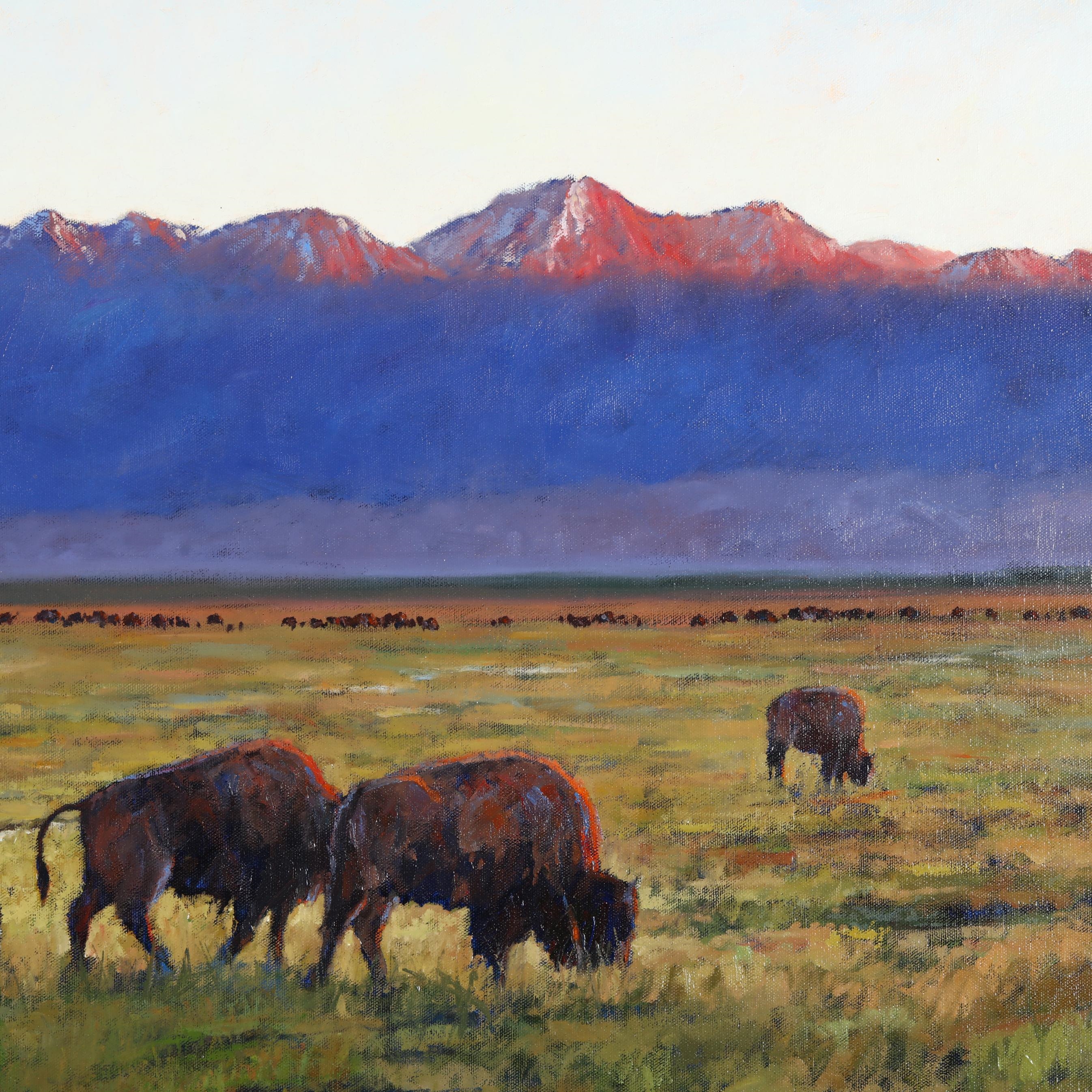 Artwork by Nathan Solano, Where the Buffalo Roam, Made of Oil on panel