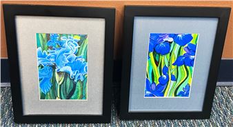 Wild Alaskan Iris - Katie Sevigny