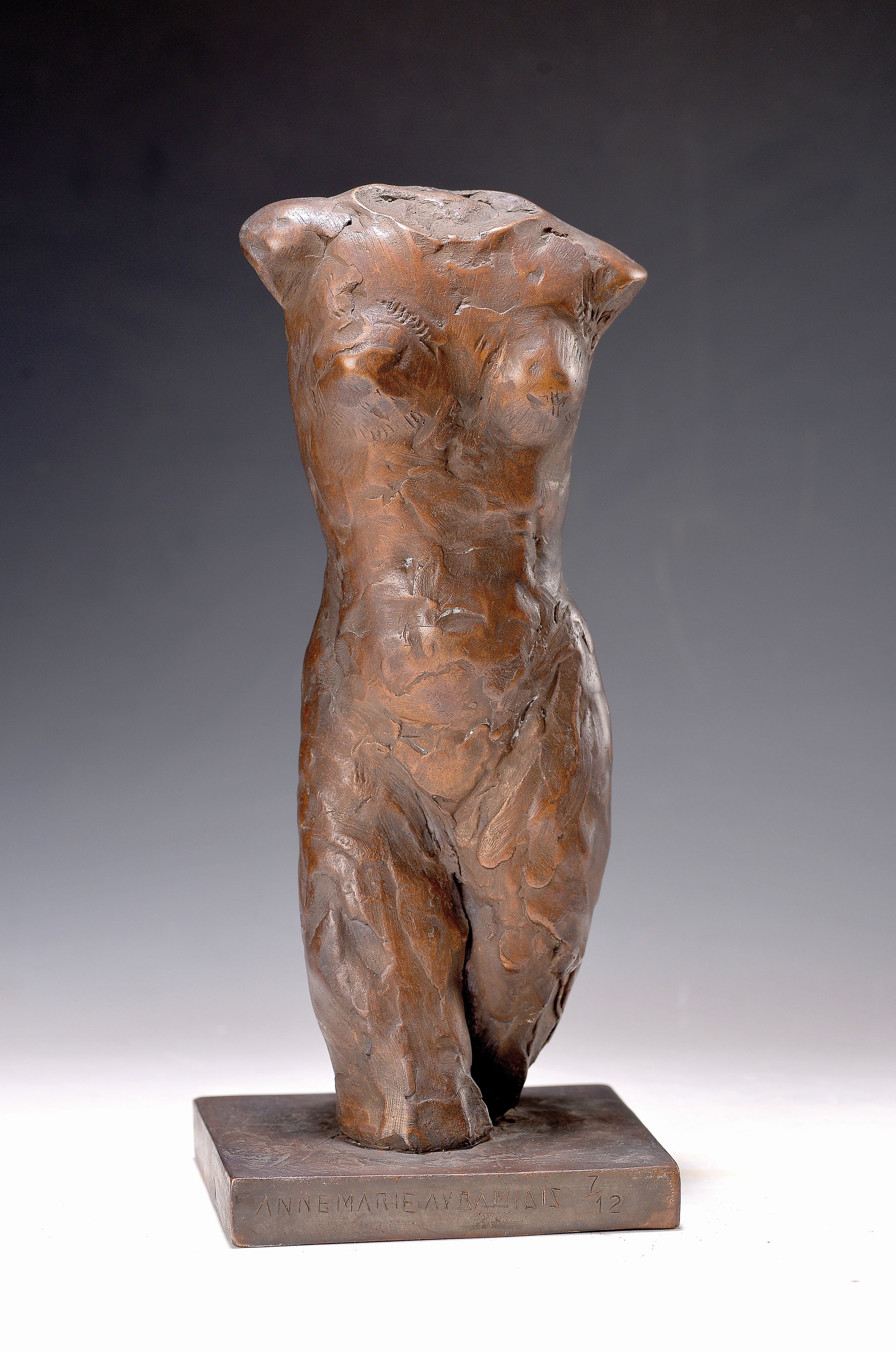 Artwork by Annemarie Avramidis, female torso, Made of Bronze