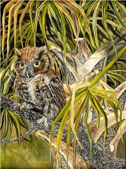 Owl - Linda K. Della Poali