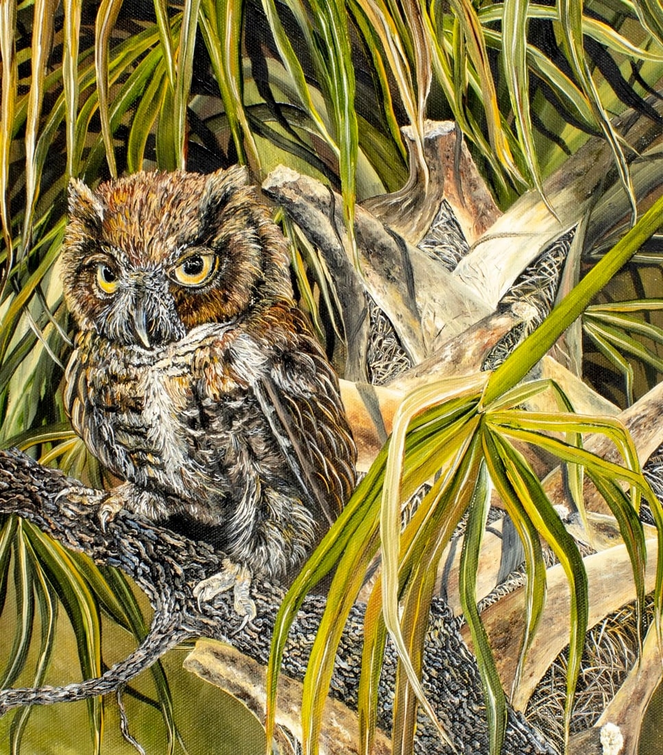 Artwork by Linda K. Della Poali, Owl, Made of oil on canvas